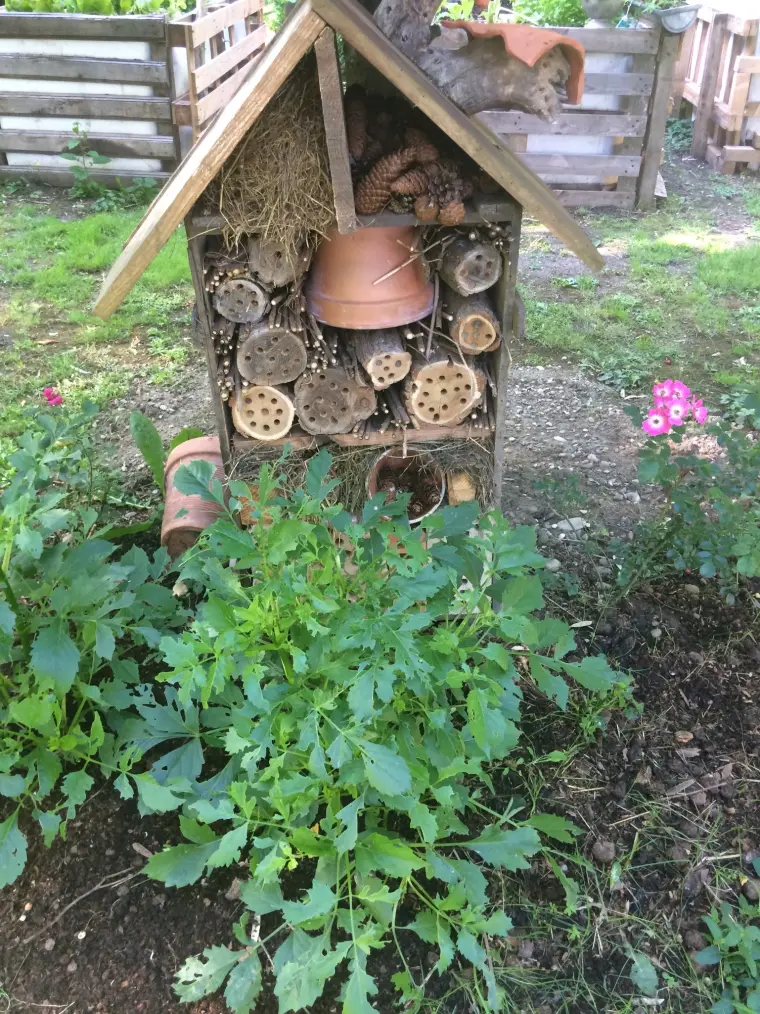 Das Insektenhotel inmitten der Blumen